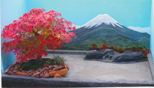 渓谷バリエーション